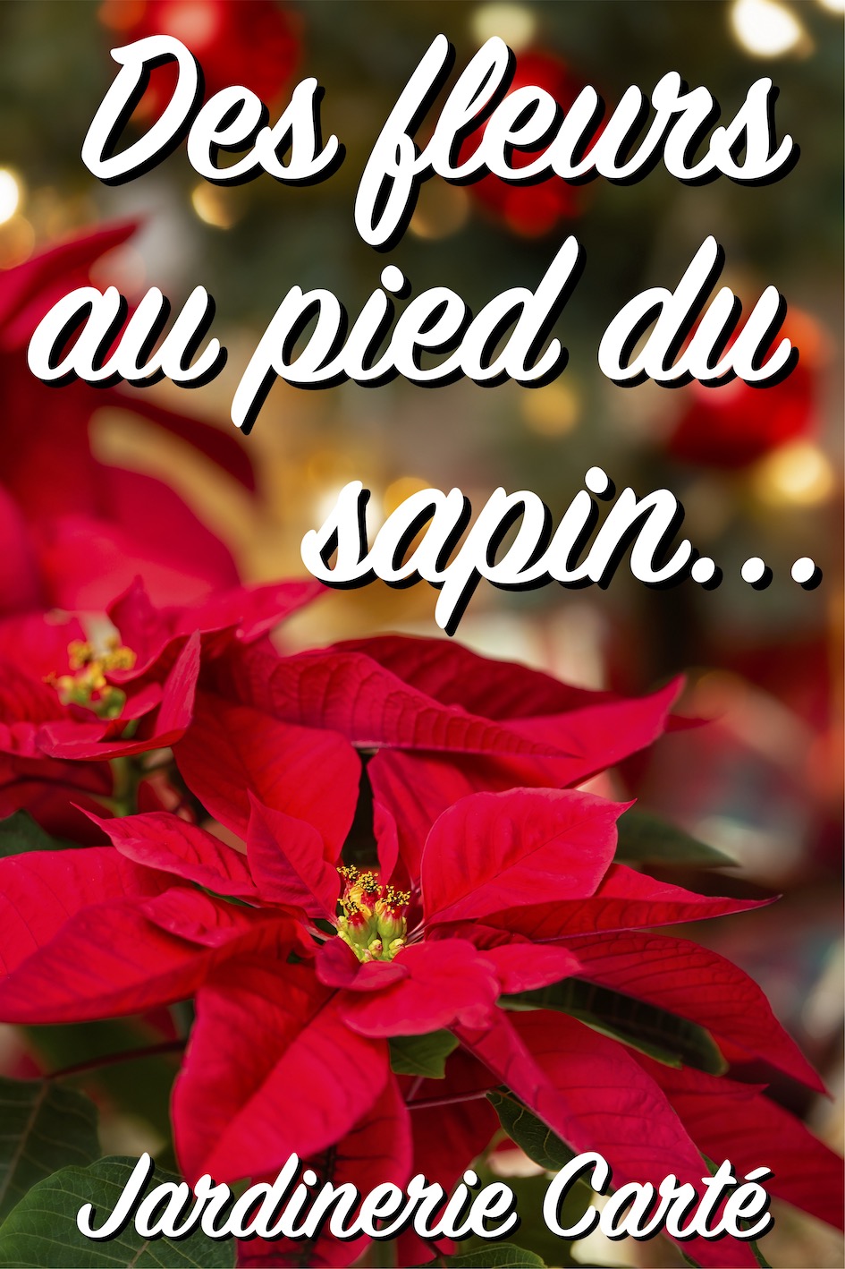Affiche POINSETTIA NOEL